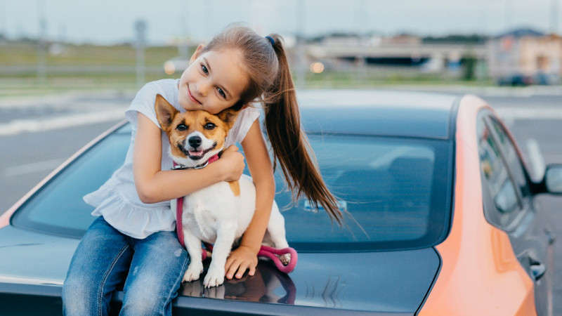 Kedi veya Köpeğiniz Antifriz Yediyse Ne Yapmalı?