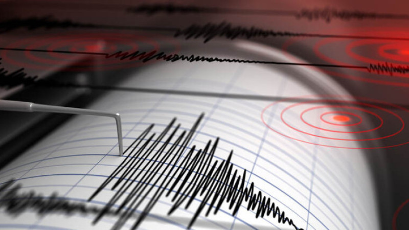 Japonya'da 6,9 Büyüklüğünde Deprem