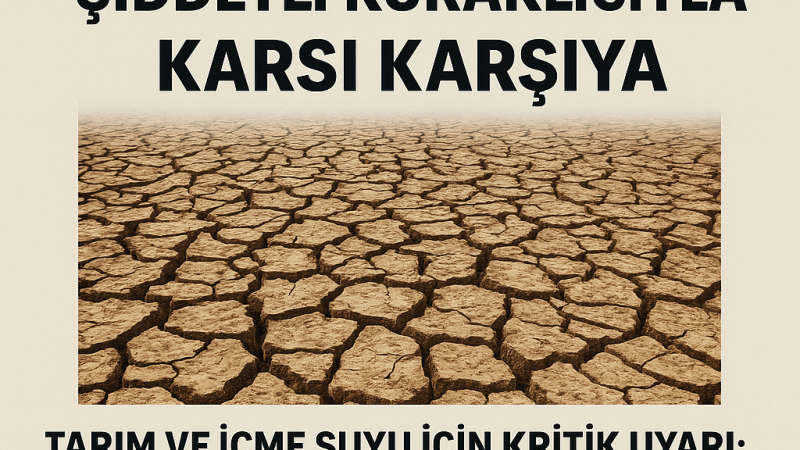Türkiye 65 Yılın En Şiddetli Kuraklığıyla Karşı Karşıya