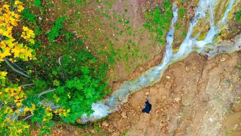 Sındırgı’da Deprem Sonrası Şaşırtan Doğa Olayı: 20 Yıldır Susan Kaynak Yeniden Akmaya Başladı
