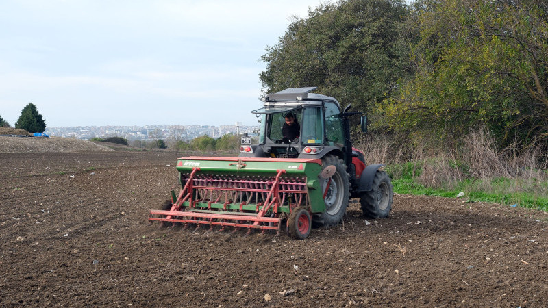 Büyükçekmece’de atıl araziler buğdayla buluştu