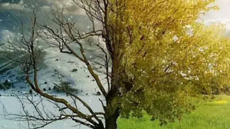 Mevsim Geçişlerinde Artan Baş Ağrılarına Dikkat !