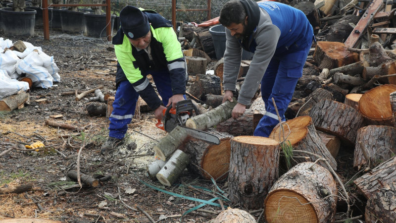 Fırtınada devrilen ağaçlar ihtiyaç sahiplerini ısıtıyor
