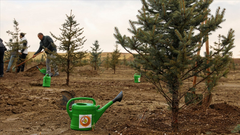 Yumaklı: 2025’te 517 milyon fidan ve tohum toprakla buluşturuldu