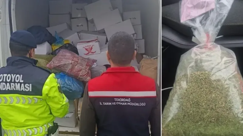 Tekirdağ’da Denetim: 2 Ton Sağlıksız Fıstık İmha Edildi