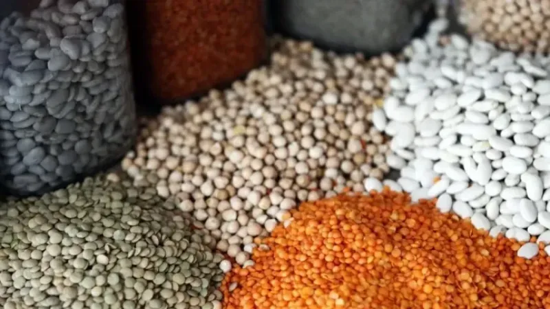 Türkiye’nin Gıda İhracatı Yılın İlk İki Ayında 1,9 Milyar Doları Aştı