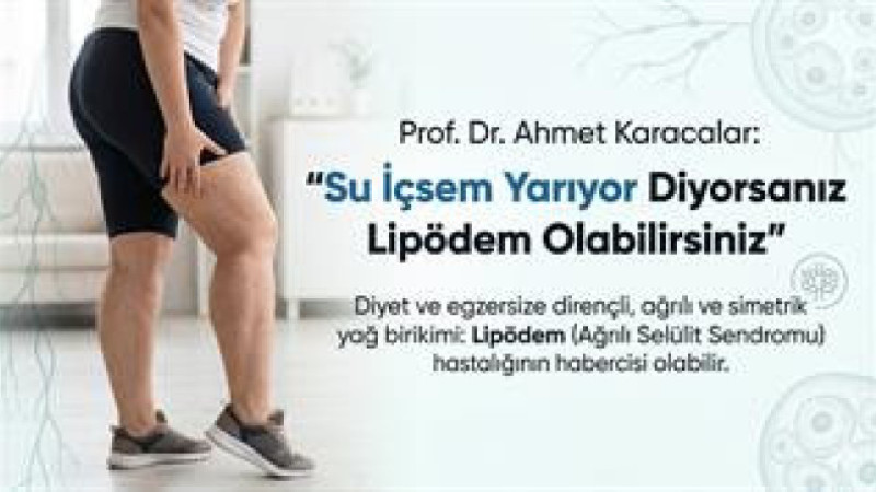 Prof. Dr. Ahmet Karacalar: 