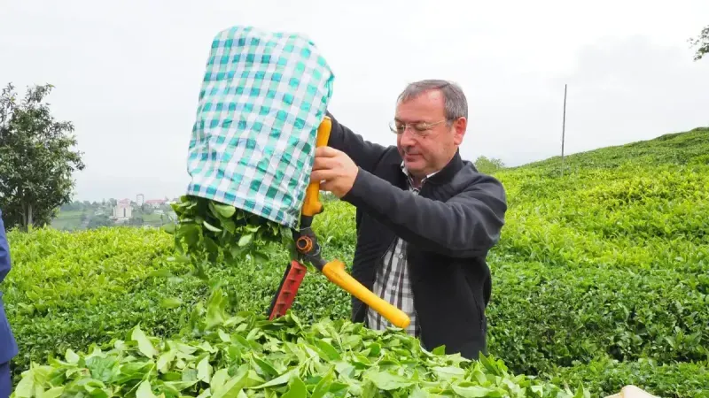 Çaykur Genel Müdürü Alim’den kampanya ve kadro açıklaması