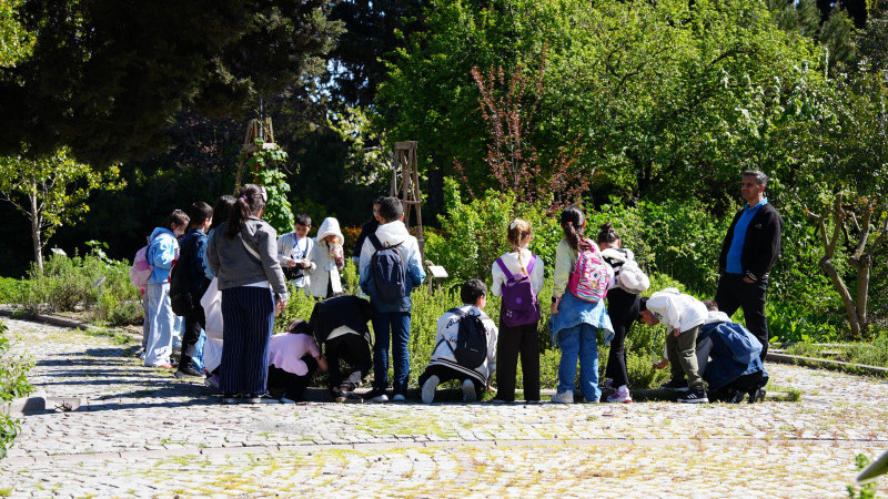 Uluslararası Gönüllülerden Zeytinburnu Tıbbi Bitkiler Bahçesinde Renkli Atölye Çalışmaları