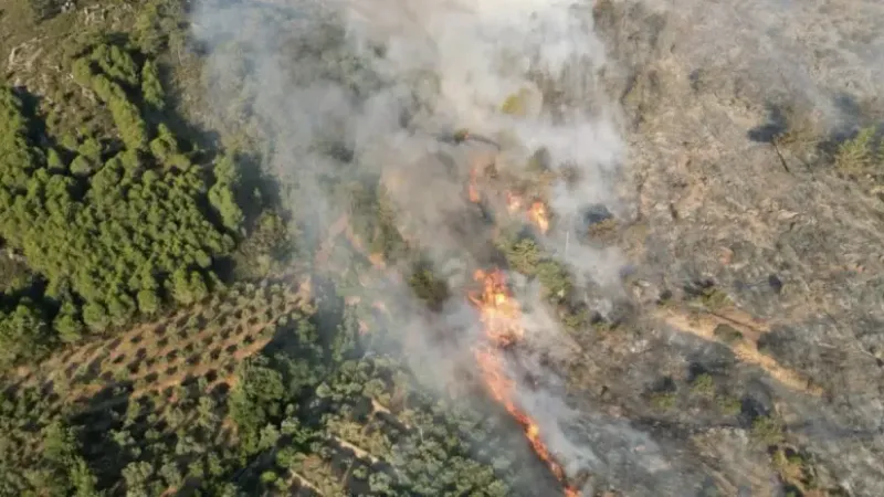 Antalya'da orman yangını alarmı: Sıcaklık 40 dereceyi bulacak