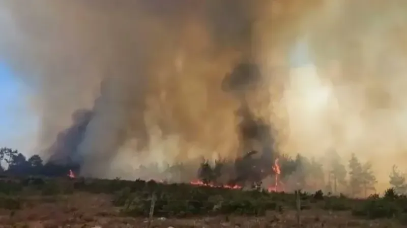 Kaş’ta orman yangını: Ekipler havadan ve karadan müdahaleyi sürdürüyor