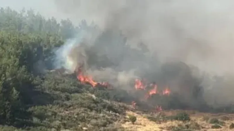 Çanakkale’de Orman Yangını: Havadan ve Karadan Müdahale Ediliyor