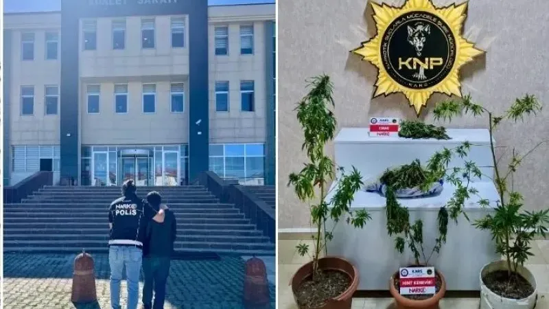 Kars’ta uyuşturucu operasyonu: Esrar ve Hint keneviri ele geçirildi