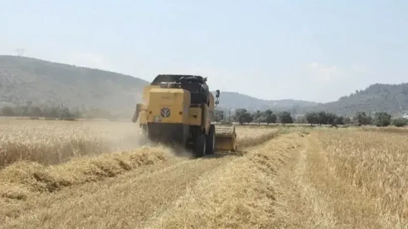 Tarım-ÜFE ağustosta yüzde 0,93 geriledi