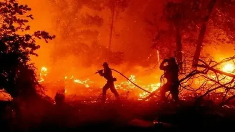 Türkiye'nin Dört Bir Yanında Orman Yangınlarına Müdahale Sürüyor