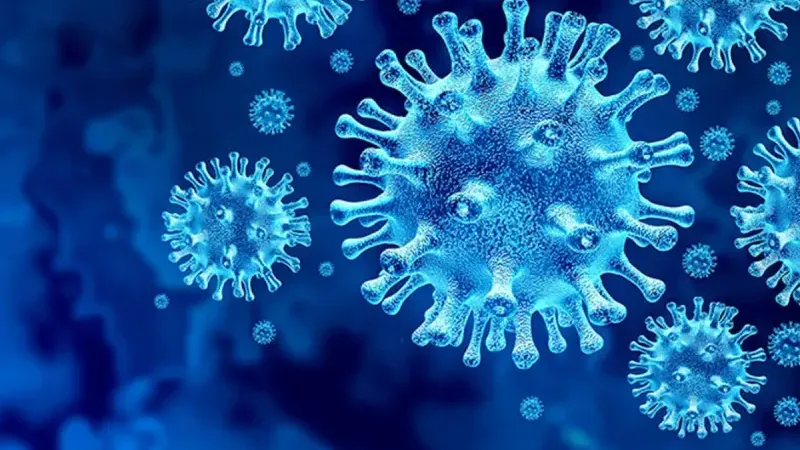 Çin’de Chikungunya Alarmı: 7 Binden Fazla Vaka, Cibinlik Zorunluluğu