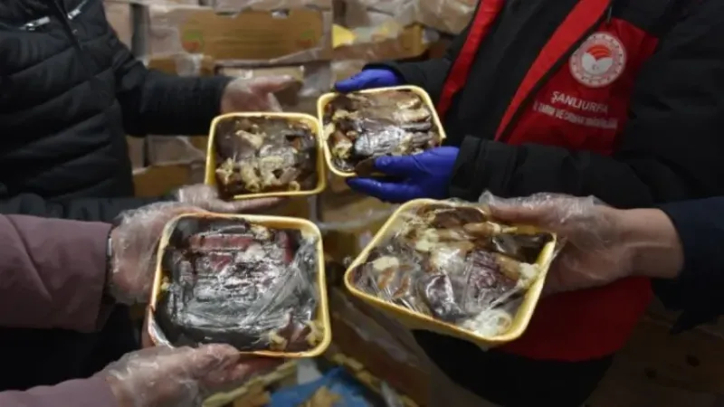 Şanlıurfa’da Skandal: 50 Ton Bozulmuş Tavuk İmha Edildi