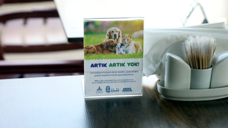 Yemek artıkları patili dostlarımıza can oluyor