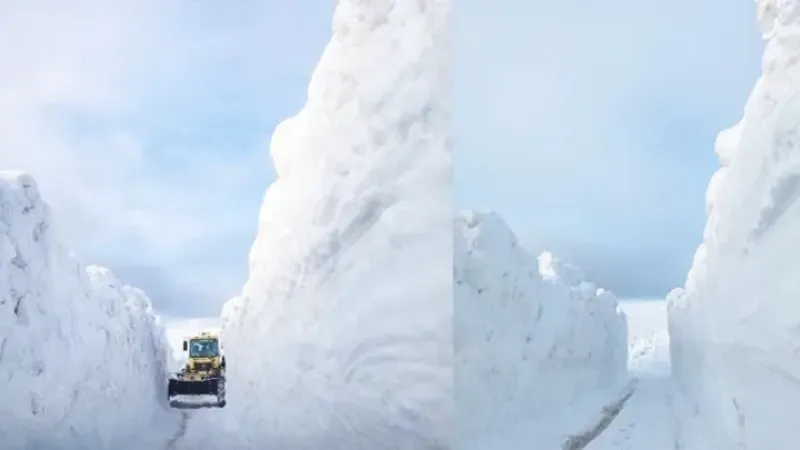 Sis Dağı Yaylası’nda kar kalınlığı 3 metreyi aştı