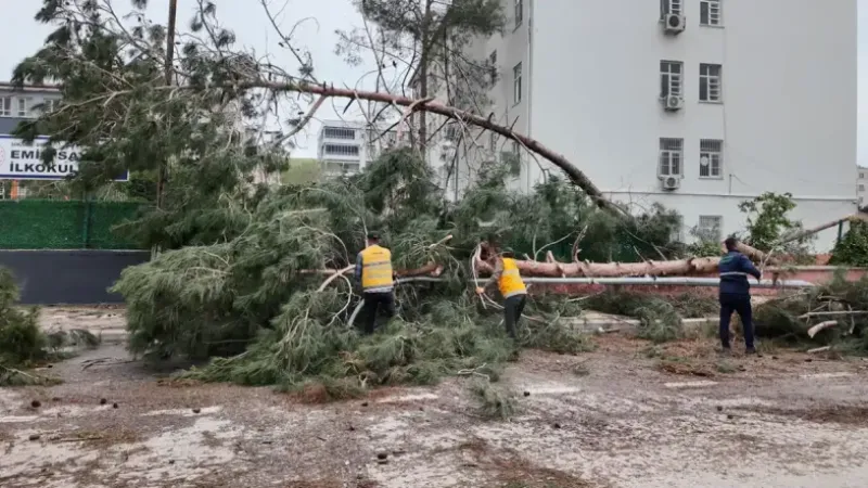 Şanlıurfa Büyükşehir Belediyesi, Birecik’te afetin yaralarını sarıyor