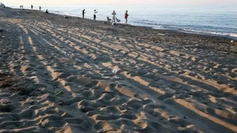 Caretta caretta yuvalarını korumayanlara 699 bin TL'ye varan ceza
