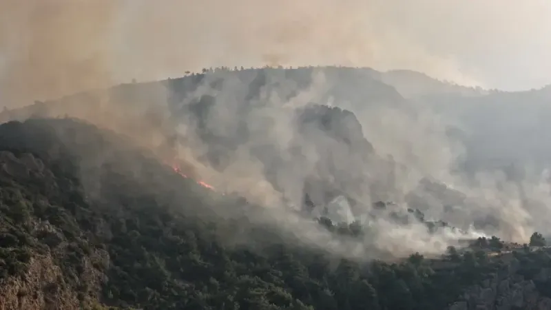Muğla'da orman yangını ulaşımı vurdu: Fethiye-Seydikemer-Antalya karayolu geçici olarak kapatıldı