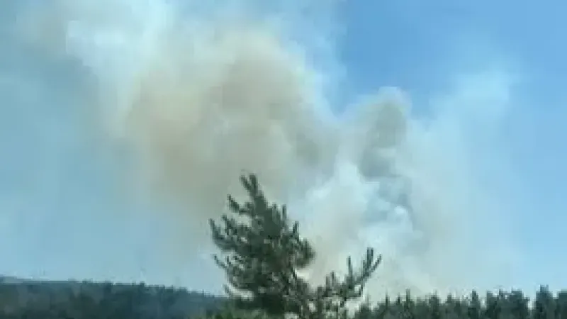 Balıkesir ve Bolu’da orman yangınları: Ekiplerin müdahalesi sürüyor
